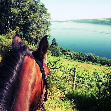 Loch Ness B And B Инвернесс Экстерьер фото
